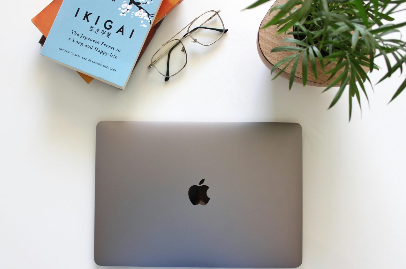 Ikigai: guida preziosa per costruire la tua carriera