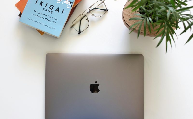 Ikigai: guida preziosa per costruire la tua carriera